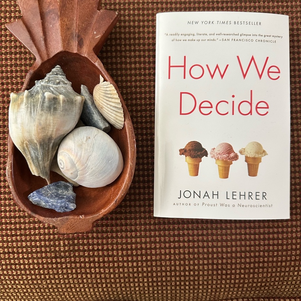 How we decide by Jonah Lehrer